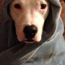 Ann Conrad - @ann_conrad - Twitter