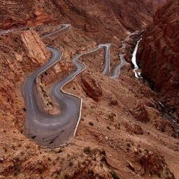 idriss2alwatani's profile picture. 