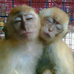 blablal_'s profile picture. 