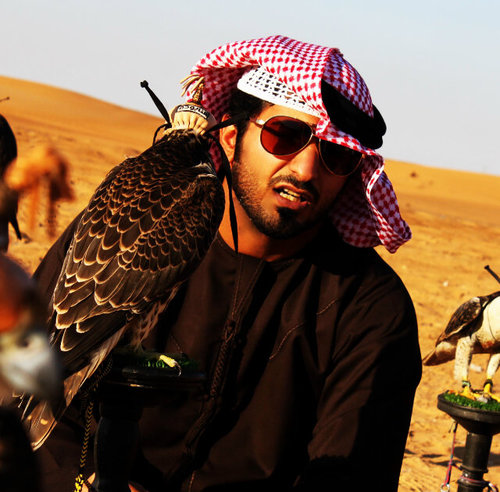 آلشوق {مشتآق} آكثر من آلشوق » شوق آبدوي « ضاعت ..! نياقه