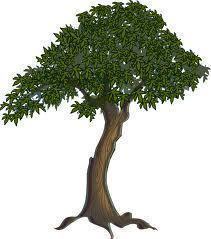 griivanov's profile picture. я весь в твитах | фолловь и читаем будешь