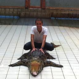 tomern93's profile picture. 