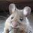 5liveMouse's profile image