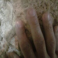 David Altrogge (@davidaltrogge) Twitter profile photo