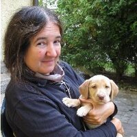 Sonja Schuhmacher (@indiebuchblog) 's Twitter Profile