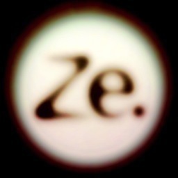 Multimedia Artist