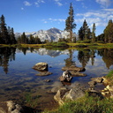 Rhonda Gaddy - @gaddy_rhonda - Twitter