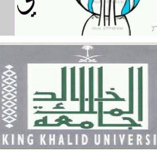 د/عاليه القرني نقدر جهودك الغاليه لكن مازلنا نعاني وهاذا حساب تواصلنا معك نثق برغبتك في احتوا مطالبنا وهاذا الحساب باسمنا جميعا