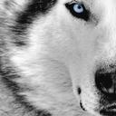 Quinton Aaron - @SWSNQuinton - Twitter