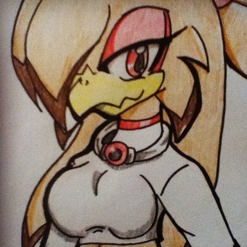 Hello~ I'm Sova The Hawk. A 16 year old female filled with pride. I assure I'm no threat just a competintion~ So? What now? [RP 16] #SonicTwitter