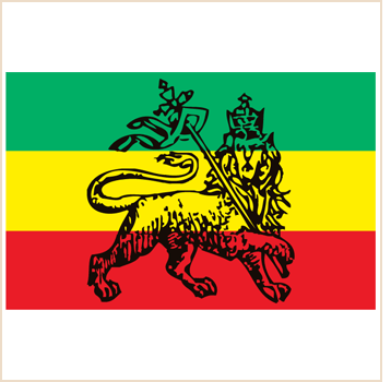 Organic Farmer, Artist, Computer modder/builder
Vegetarian, Nazirite Rasta