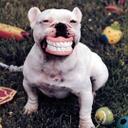 tammy boyer - @momboyer - Twitter