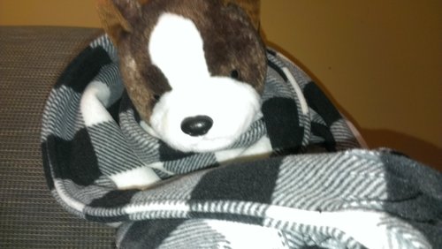 ElitistDog's profile picture. Just a small town dog, living in a lonely world.