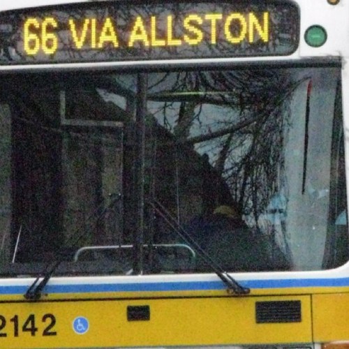 66 Bus