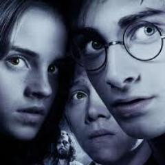 piratas do caribe , harry potter