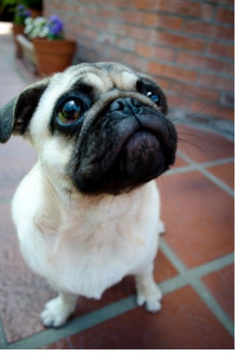 emo_bana's profile picture. ＼育児奮闘中／ちいかわ大好き