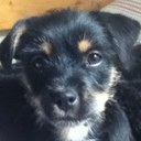 Sara Bronson - @alexis_sara - Twitter