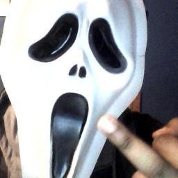 IronNelsonlml's profile picture. 