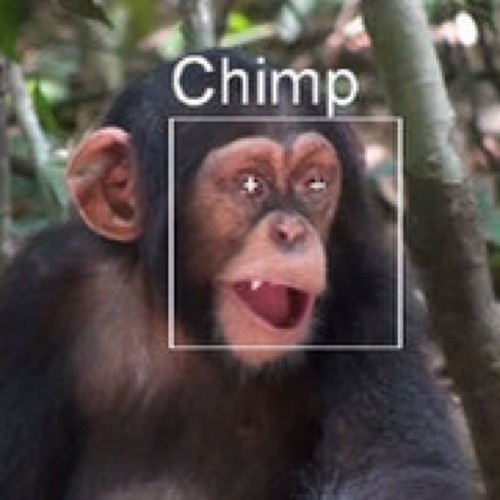 chimpin' ain't easy