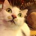 @ babycatcalla ☘️🇺🇸 (@babycatcalla) Twitter profile photo @ babycatcalla ☘️🇺🇸 (@babycatcalla) Twitter profile photo