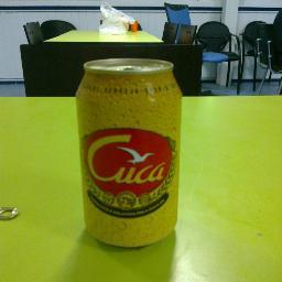 davidluis24's profile picture. 