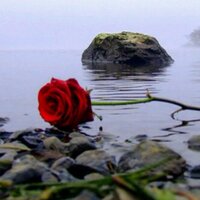 روح الكون (@alsaadhus) 's Twitter Profile