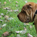 Norma Acuña - @agn_o - Twitter