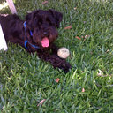 patricia moser - @patriciamoser4 - Twitter