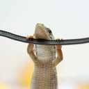 Argra Nell Thompson - @muvnonfaith68 - Twitter