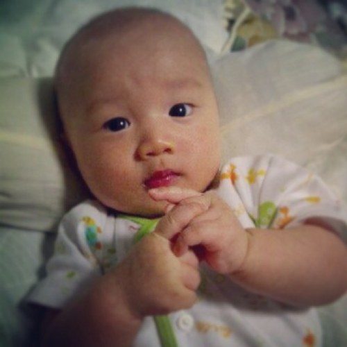 Owner of Artea Organizer