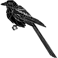 Maurizio Zaccagnino (@maurizi0s) 's Twitter Profile