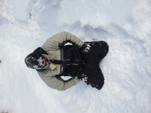 michaeldaddario's profile picture. 