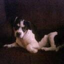 Isabel Hoffman - @bellaisadrummer - Twitter