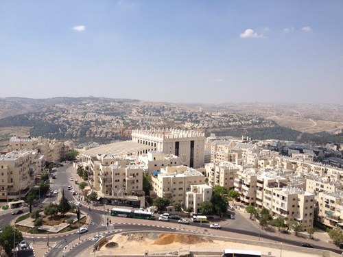 yitzygee's profile picture. 