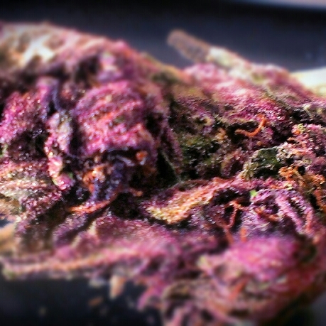 postivevibes420's profile picture. 