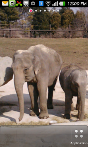 barbb1010's profile picture. 