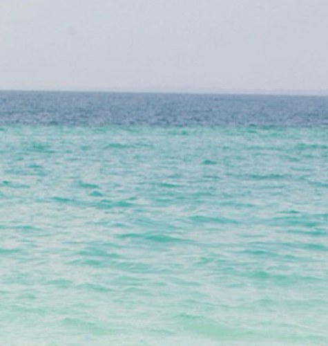 nono_al7rbi's profile picture. تم تهكير الحساب من قبل المغرد