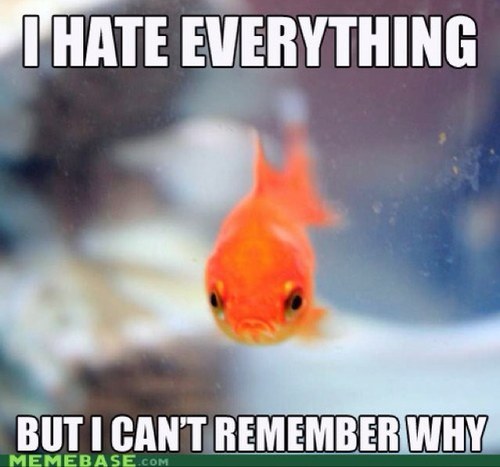 jbonk10's profile picture. 