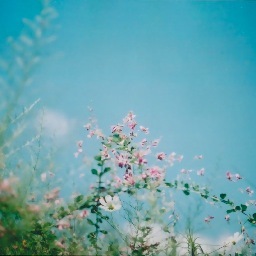 Furaha0305's profile picture. どこまでもドライブへ出掛けます。 そして着いた場所で、お散歩しながら写真を撮るのが好きです。