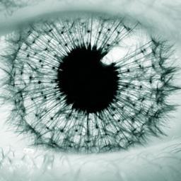 jelisafar's profile picture. 