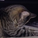 Cheryl Hildreth - @CH486 - Twitter