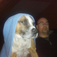 Chris Coles (@c0l3y69) 's Twitter Profile