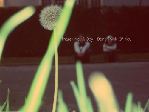 This picture is of my friend and I. ~Love.Quote~