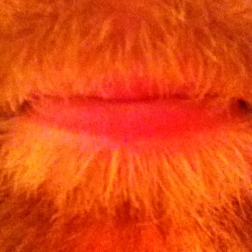 dadquadfather's profile picture. 