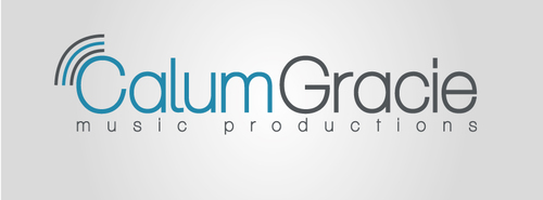 Online Mixing and Mastering Service , Music Producer , Live sound Engineer