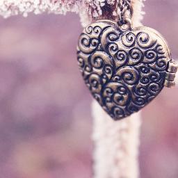 specialquotesca's profile picture. Being alive.. a strong word that not many of us can say. special..special..