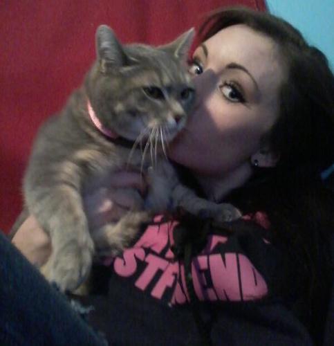 Jilly_y's profile picture. 18! I usually tweet about cats. #catsforlife