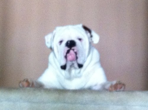 QSell87's profile picture. 