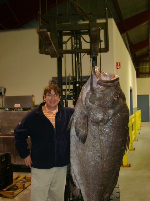 jongcomeaux's profile picture. 