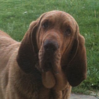 Kyle Ripperger (@Dr_Krip) | Twitter